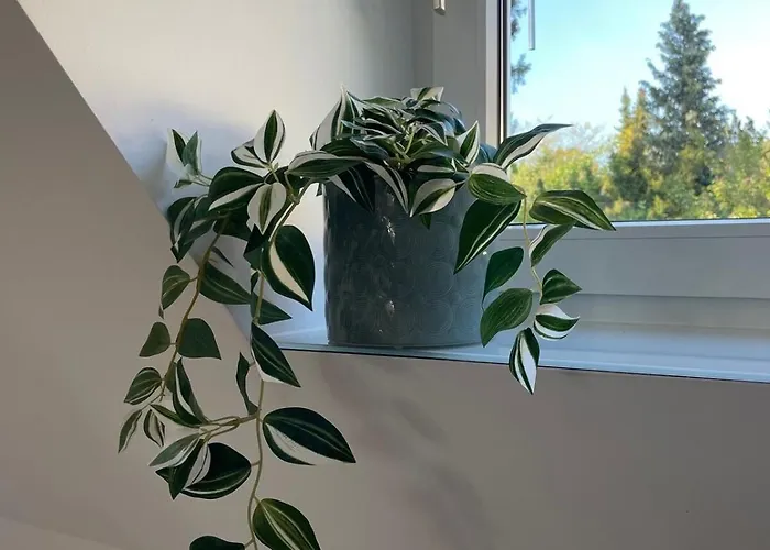 Lage In - Renoviertes, Ruhiges Apartment *