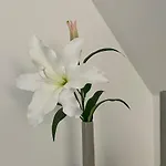 Lage In - Renoviertes, Ruhiges Apartment Hannover